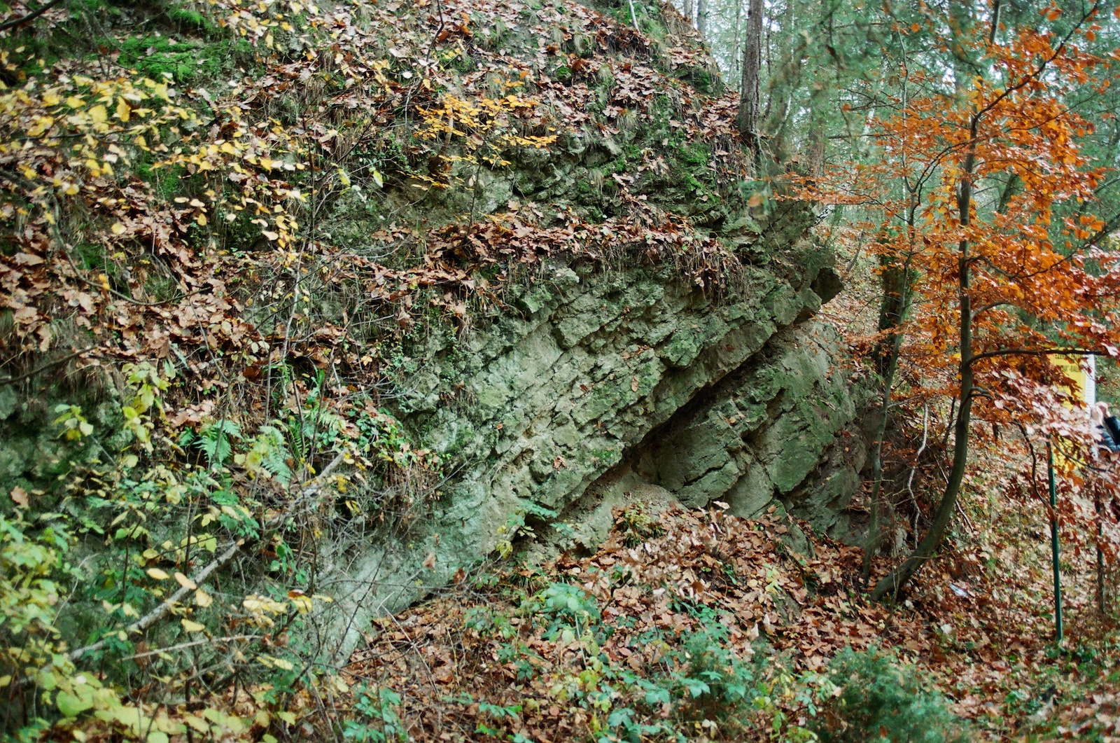 Rezerwat Biesak-Białogon - najstarsza część profilu ze skałami kambru (1)
