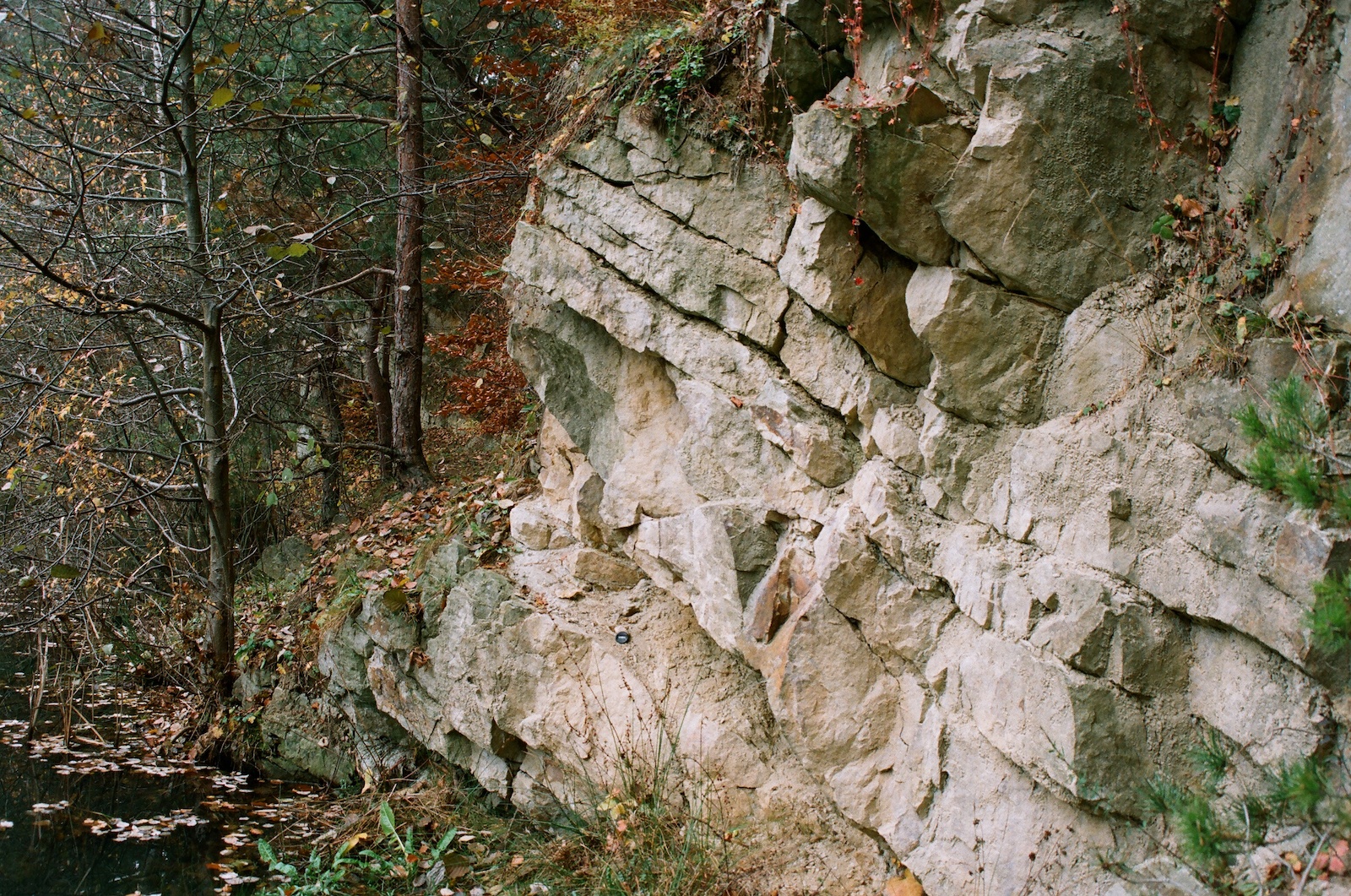 Rezerwat Biesak-Białogon - najstarsza część profilu ze skałami kambru (2)